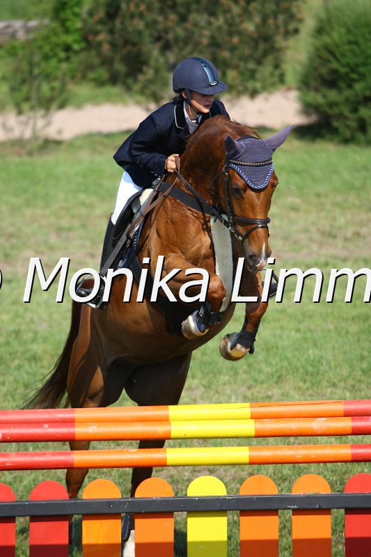 105M3294_Gracy Girl_Spring_A.JPG